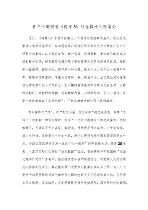 青年干部观看《榜样8》对标榜样心得体会.docx