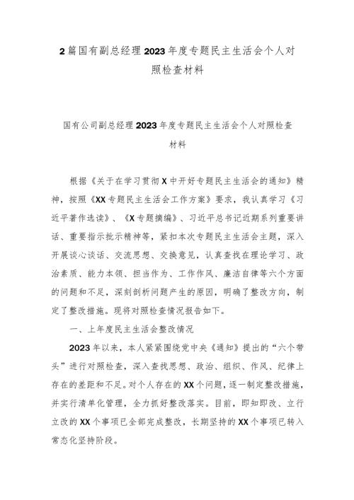 2篇国有副总经理2023专题民主生活会个人对照检查材料.docx