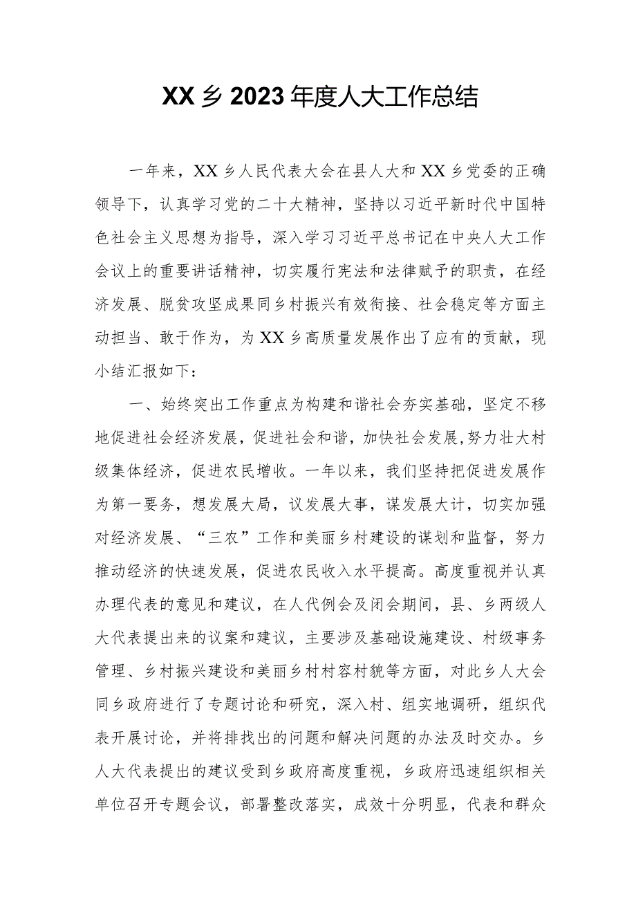 XX乡2023人大工作总结.docx_第1页