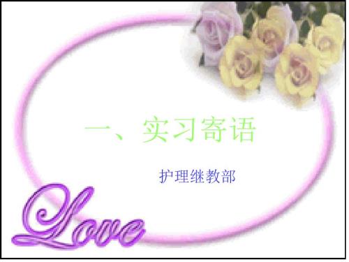 实习生岗前教育ppt课件.pptx