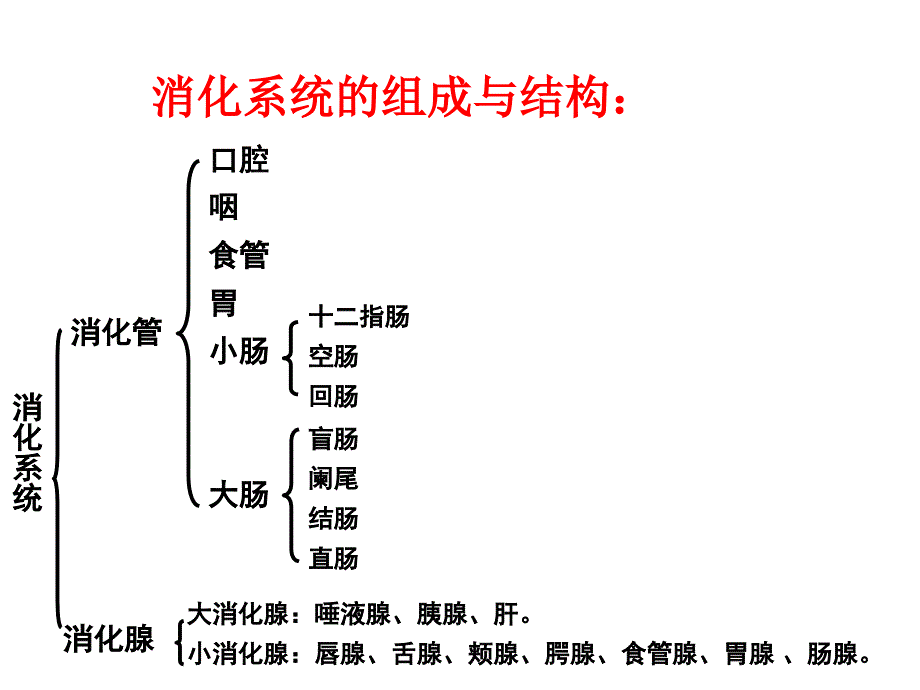 如何保养你的肠胃.ppt_第3页