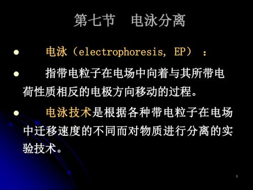 电泳分离PPT课件.ppt