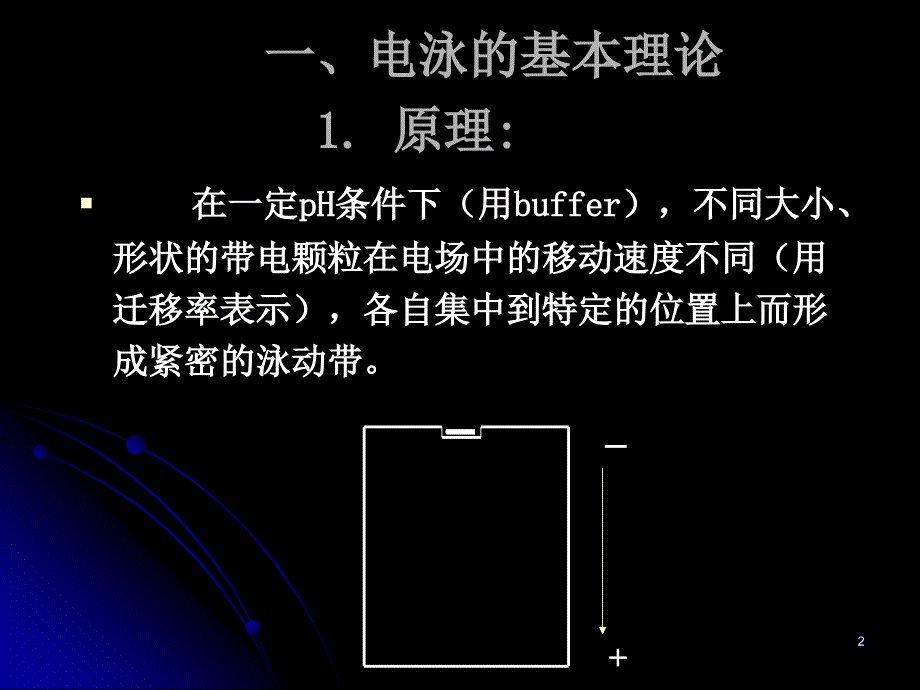 电泳分离PPT课件.ppt_第2页