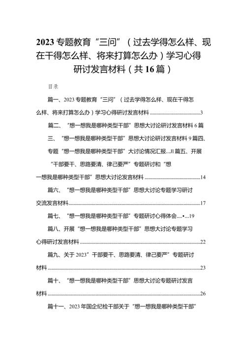专题教育“三问”（过去学得怎么样、现在干得怎么样、将来打算怎么办）学习心得研讨发言材料【16篇精选】供参考.docx