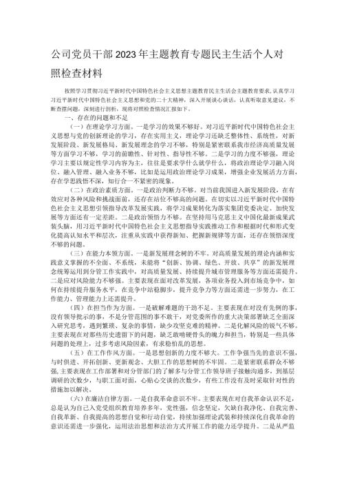 公司党员干部2023年主题教育专题民主生活个人对照检查材料.docx