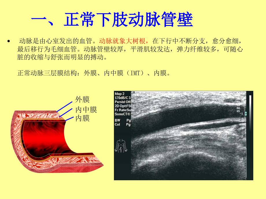 下肢血管的超声检查及正常声像图.ppt_第2页