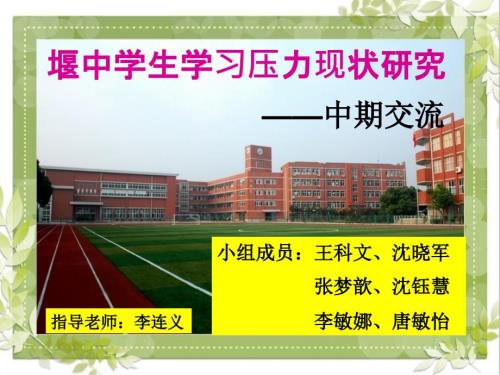 研究性学习中期报告.ppt