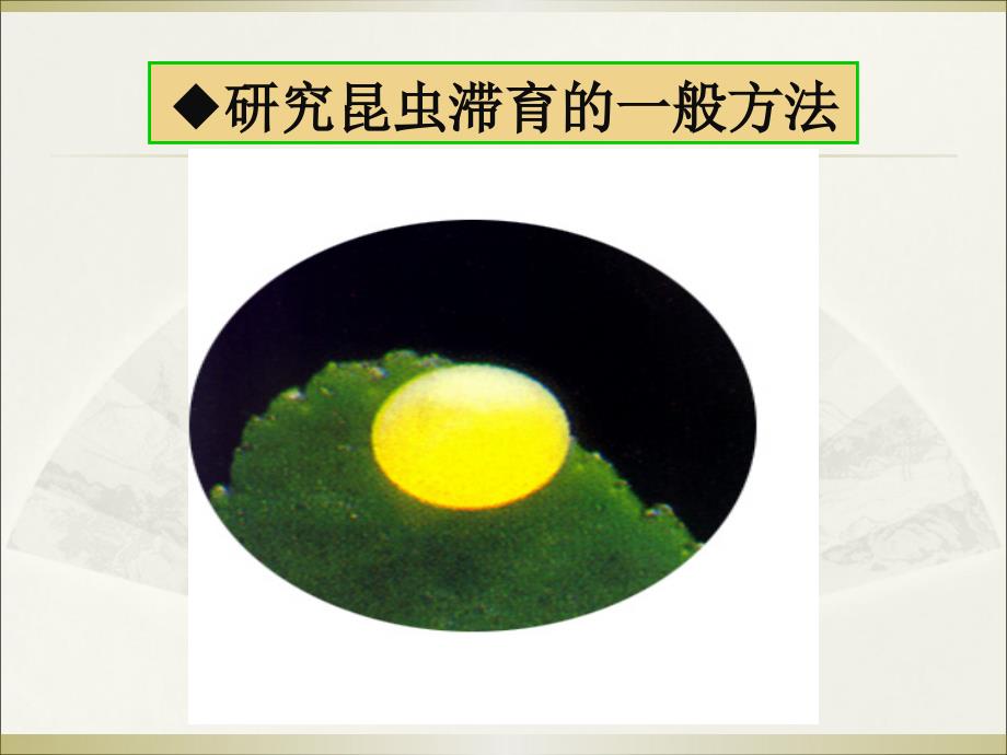研究和解除昆虫的滞育的一般方法.ppt_第3页