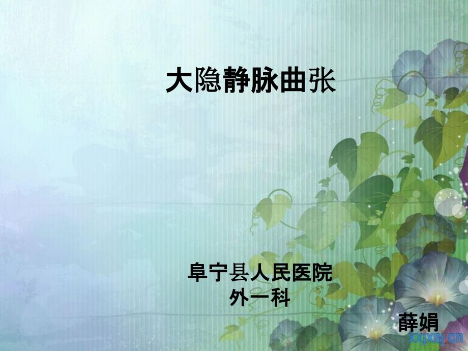 大隐静脉曲张.ppt_第1页