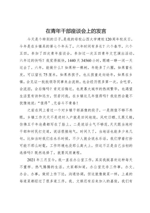 在青年干部座谈会上的发言.docx