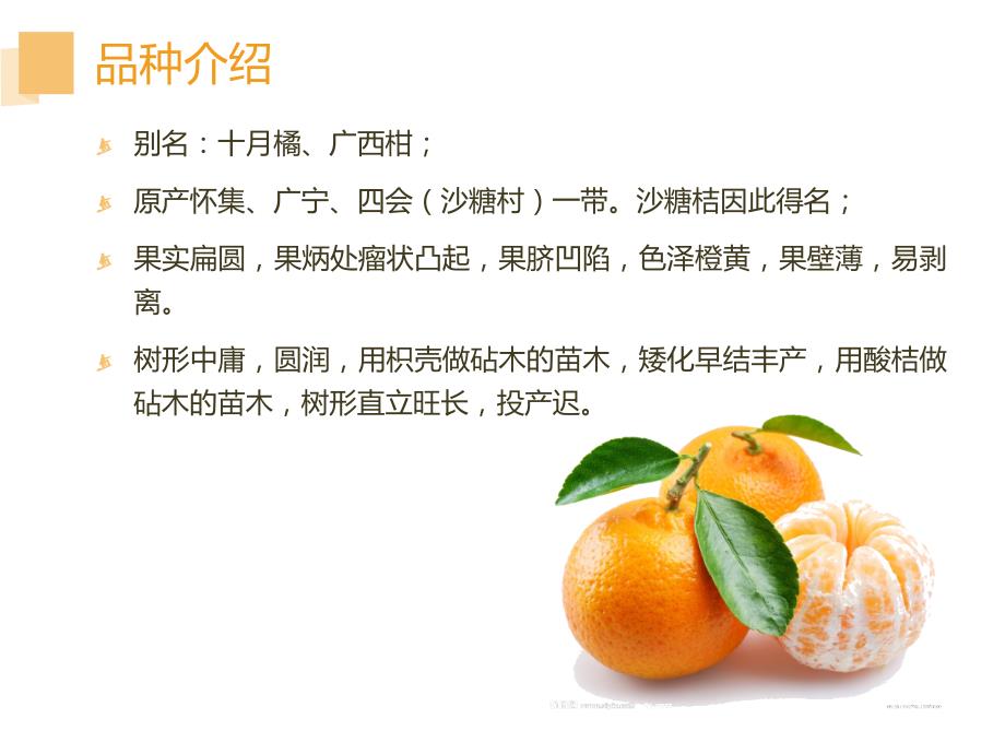砂糖桔最新栽培技术.ppt_第2页