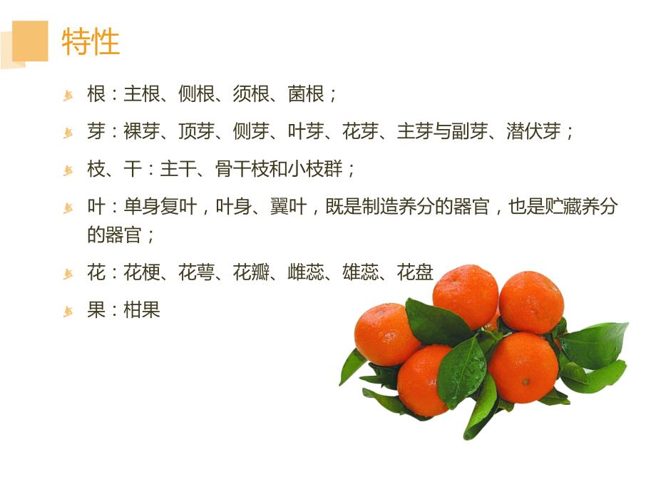 砂糖桔最新栽培技术.ppt_第3页