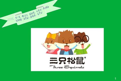 三只松鼠市场调研报告概要.ppt