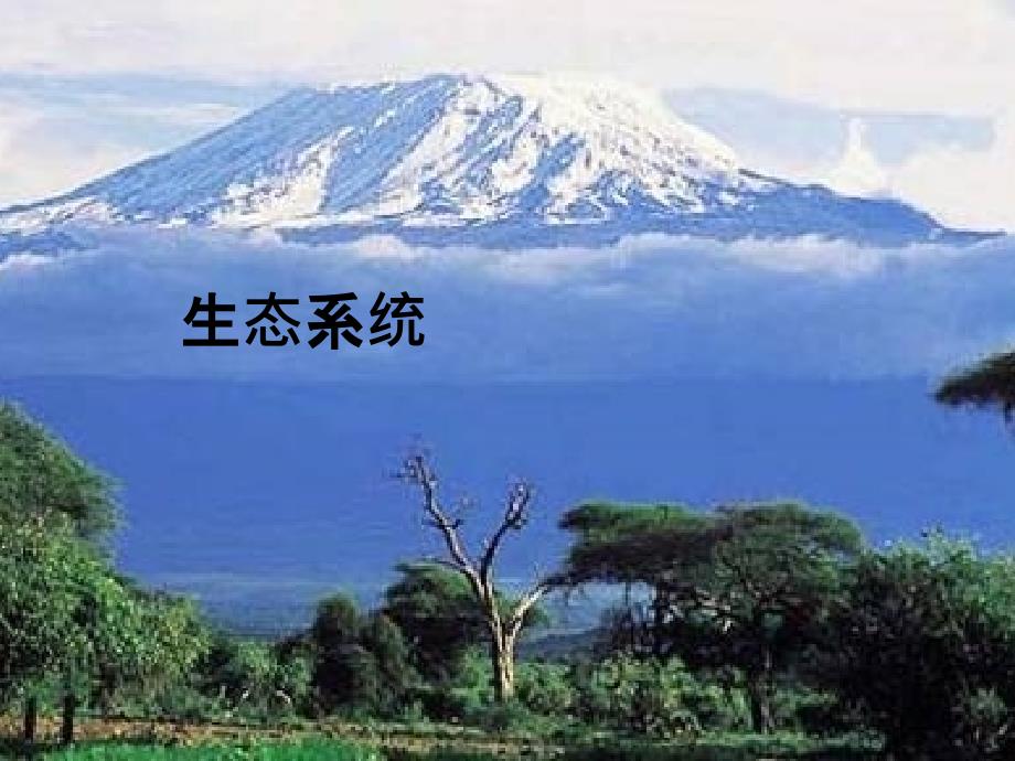 生态系统PPT课件.pptx_第1页