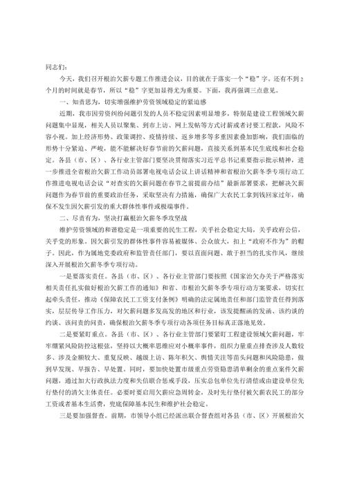 在全市年末根治欠薪专题工作推进会议上的讲话(1).docx