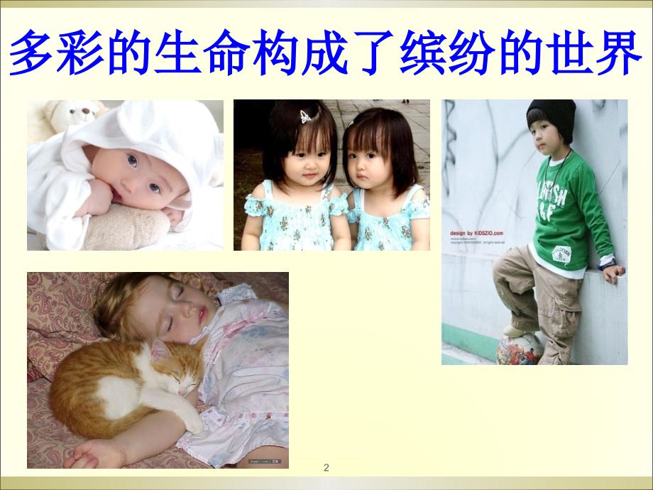 珍爱生命健康成长生命教育主题班会ppt课件.ppt_第2页