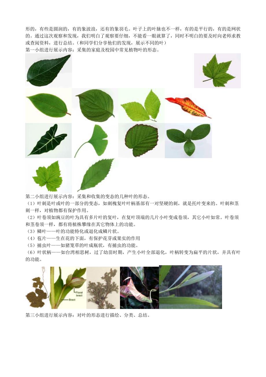 生物综合实践活动课教案.doc_第2页
