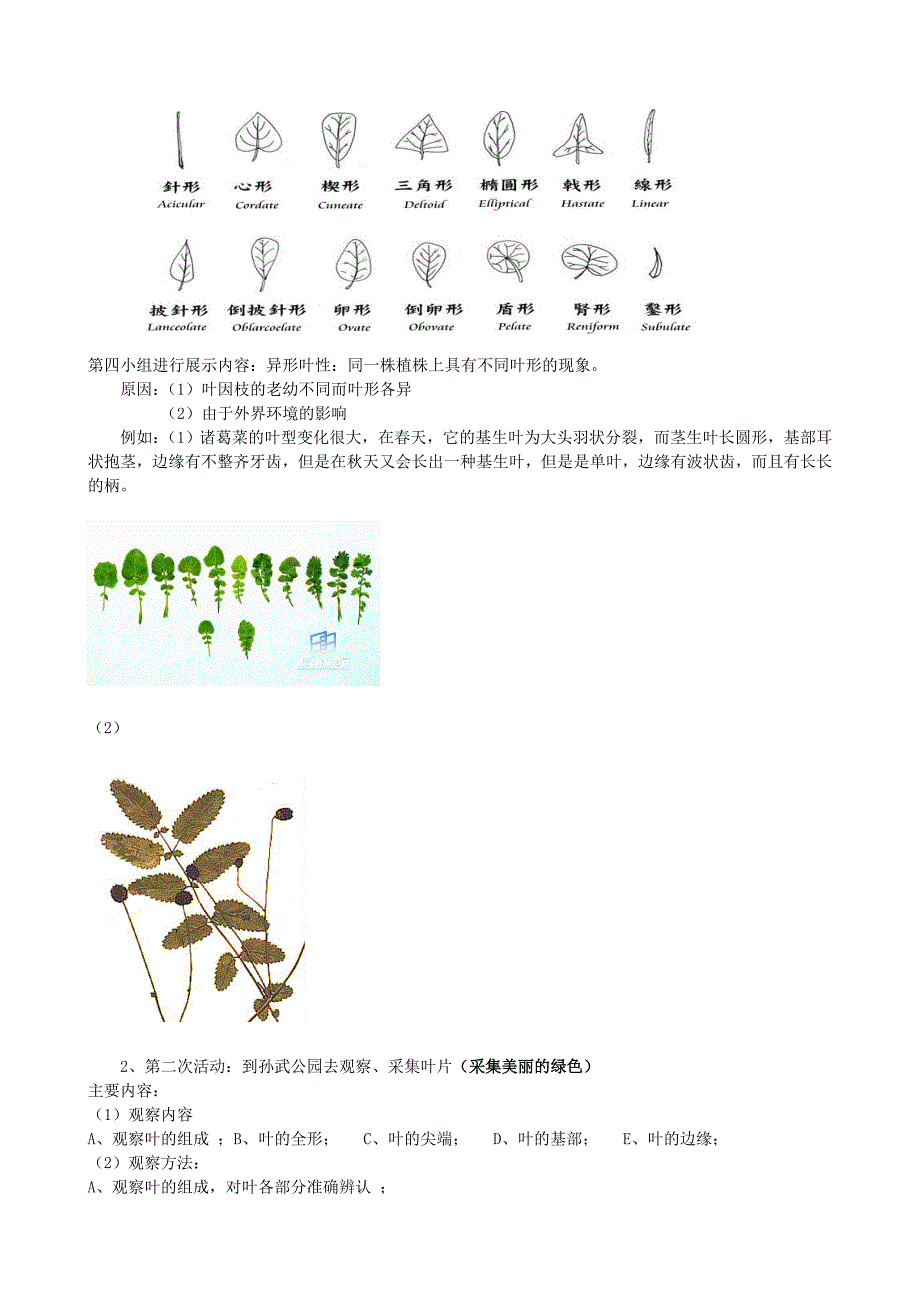 生物综合实践活动课教案.doc_第3页