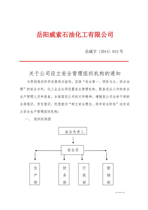石油化工公司安全管理组织机构.doc