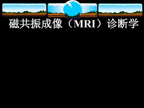 磁共振成像MRI诊断学.ppt
