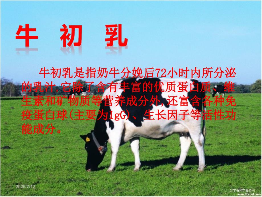 牛初乳与健康ppt课件.ppt_第3页