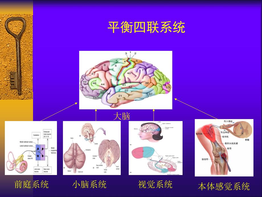 眩晕的中西医诊治及中医护理.ppt_第3页