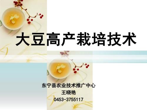 大豆高产栽培技术PPT课件.ppt