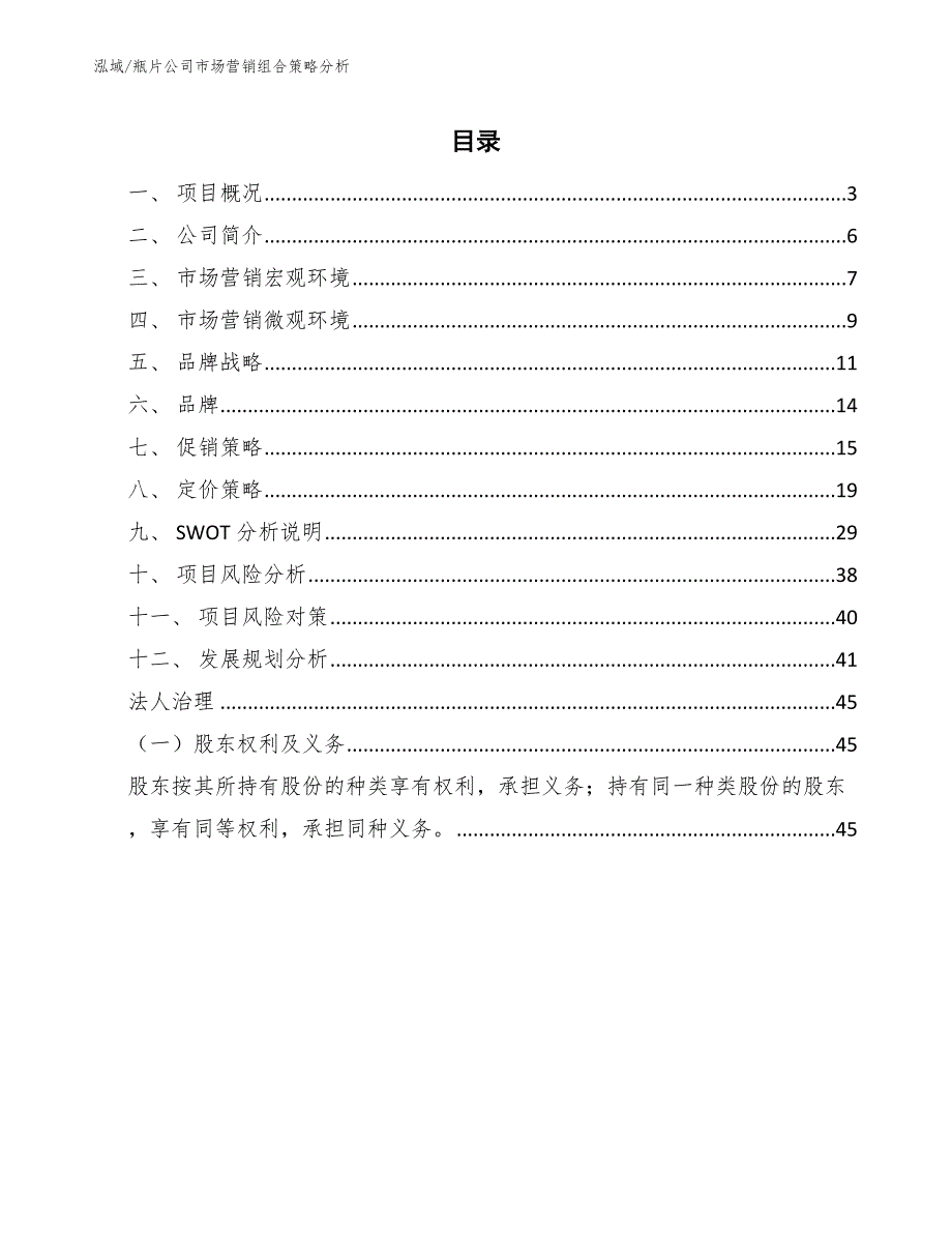 瓶片公司市场营销组合策略分析.docx_第2页