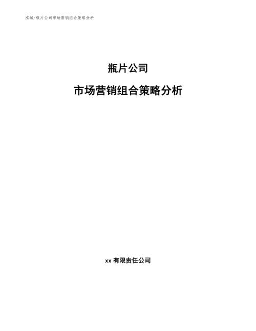 瓶片公司市场营销组合策略分析.docx