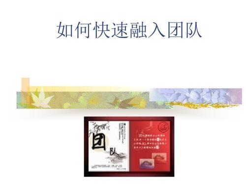 如何快速融入团队PPT课件.ppt