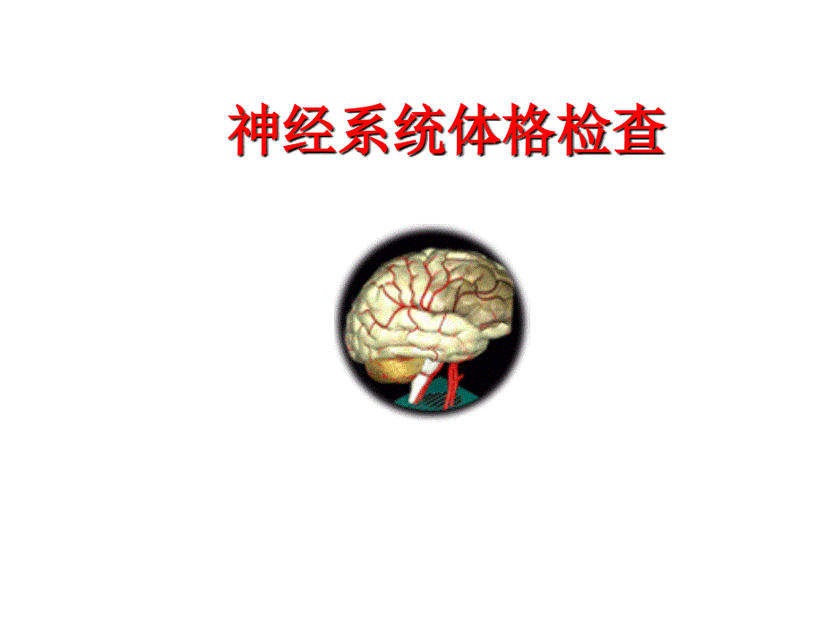 神经系统体格检查课件.ppt_第1页