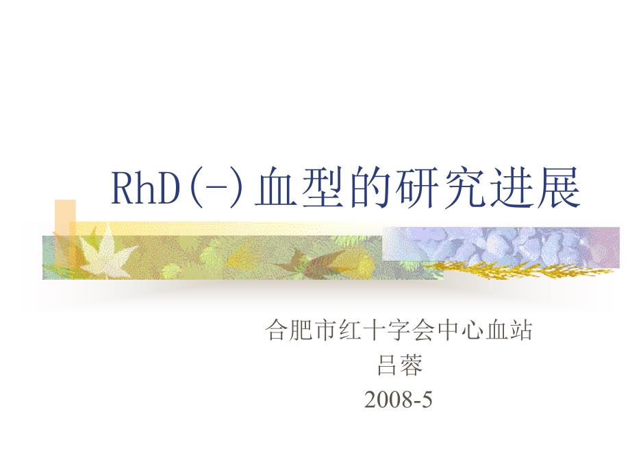 RhD血型的研究进展.ppt_第1页