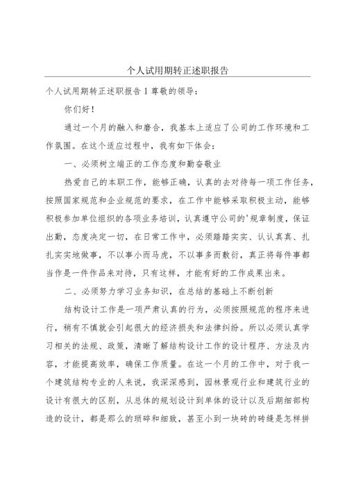 个人试用期转正述职报告.docx