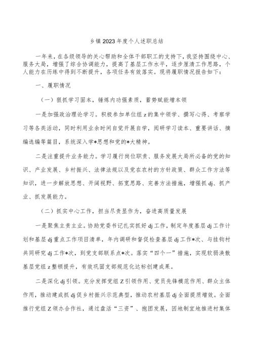 乡镇2023个人述职总结.docx