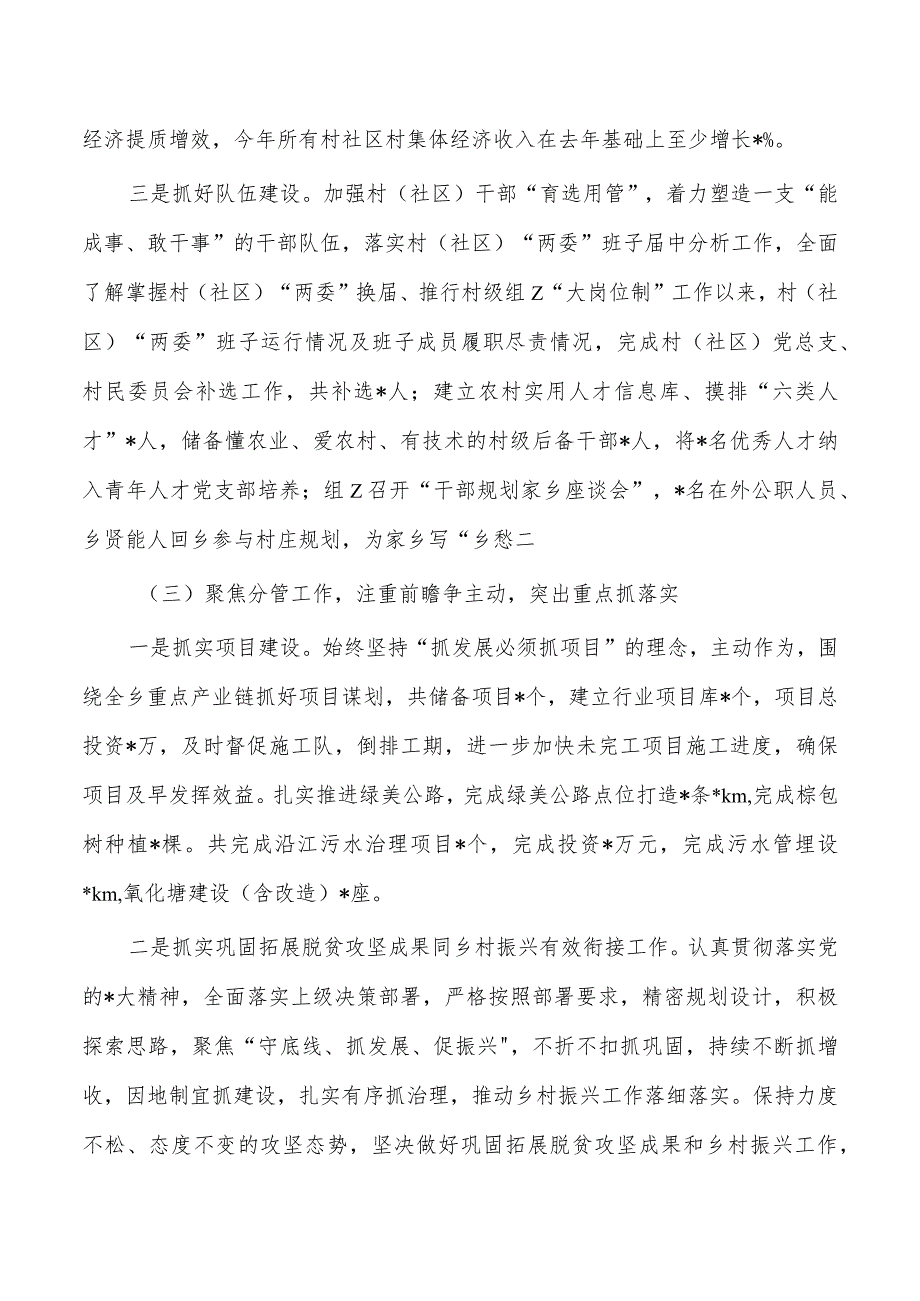 乡镇2023个人述职总结.docx_第2页