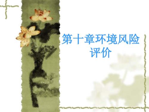 环境风险评价第十章.ppt