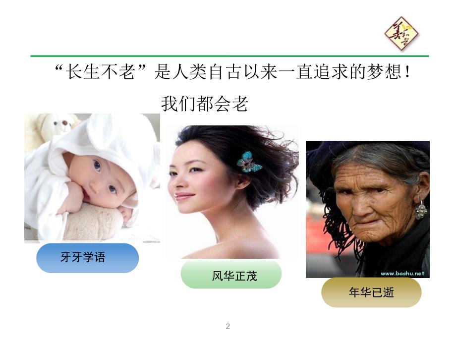 灵芝孢子油PPT课件.ppt_第2页