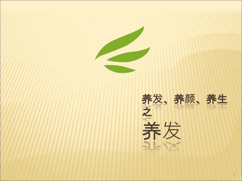 头发及头皮知识精讲ppt课件.ppt_第1页