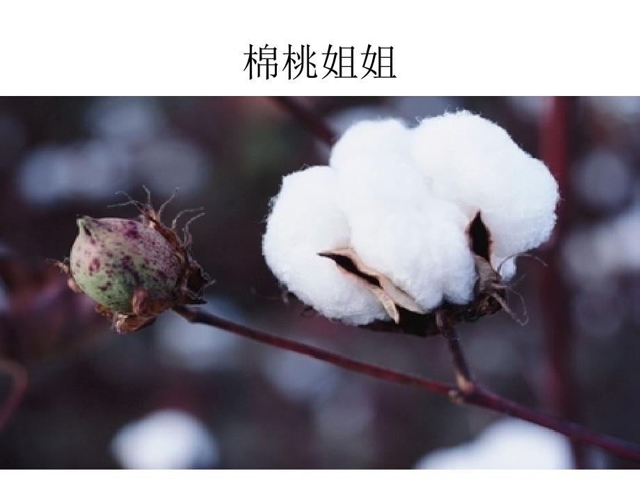 大班歌唱教学天多么美.ppt_第3页