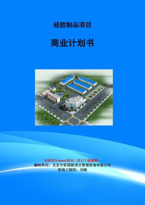硅胶制品项目商业计划书写作模板.doc