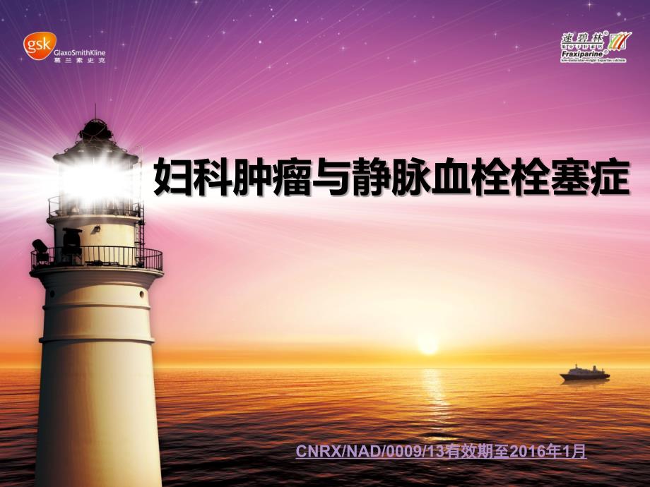 妇科VTE预防PPT课件.ppt_第1页