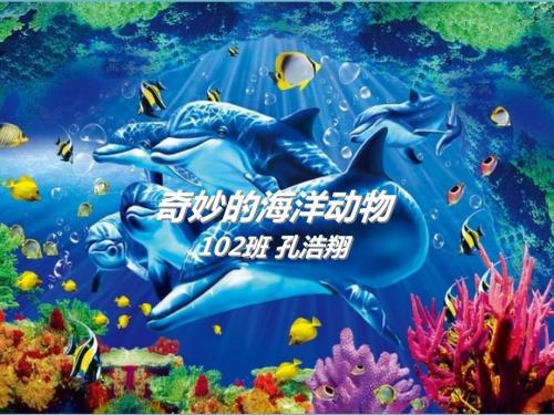 神奇的海洋动物PPT课件.ppt