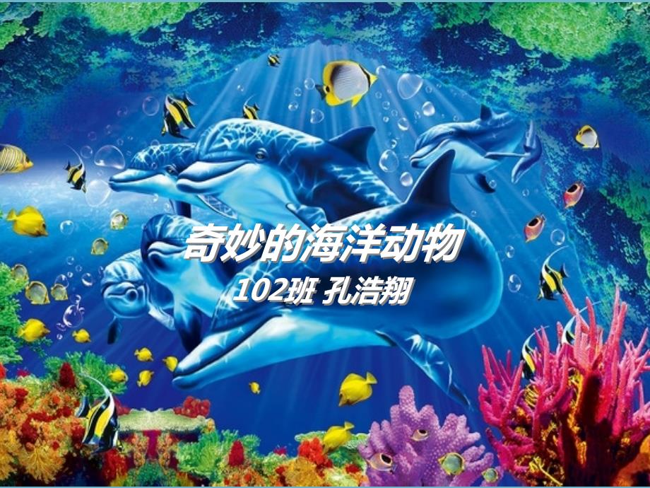 神奇的海洋动物PPT课件.ppt_第1页