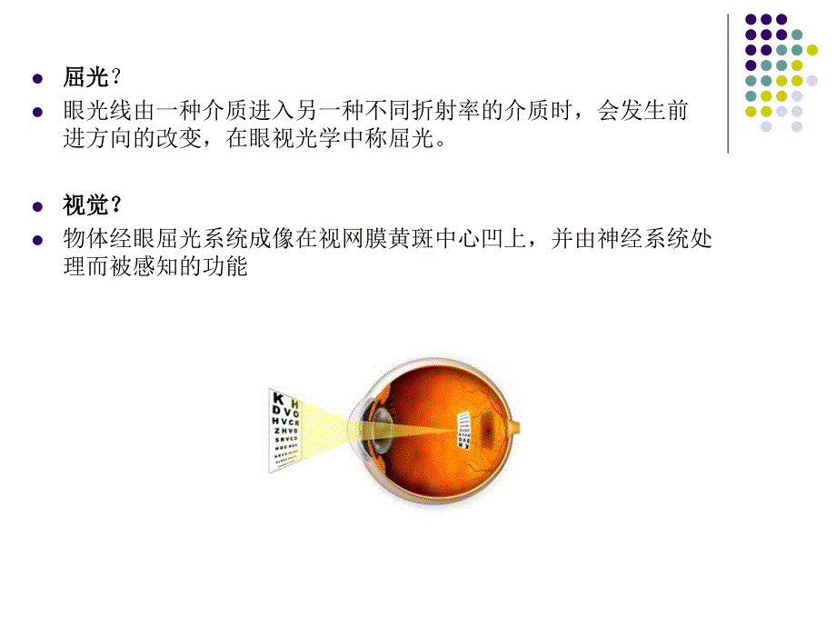眼球光学的基本概.ppt_第2页