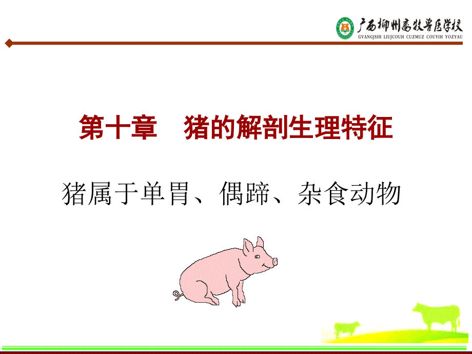 猪的解剖生理特征PPT课件.ppt_第1页