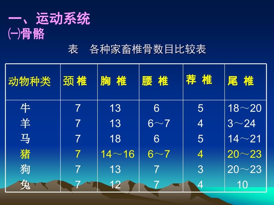 猪的解剖生理特征PPT课件.ppt_第2页