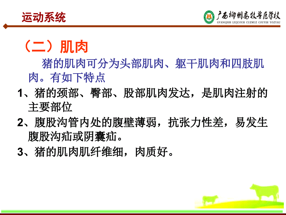 猪的解剖生理特征PPT课件.ppt_第3页