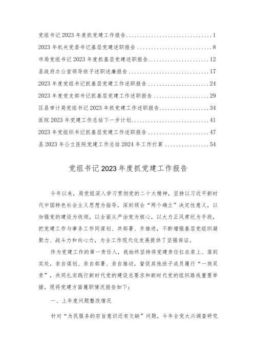 20232024党组织书记抓党建工作述职报告、工作总结下一年工作计划打算（10篇汇编）.docx