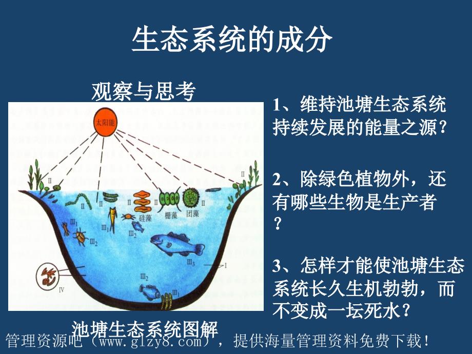 生态系统的成分PPT课件.ppt_第1页