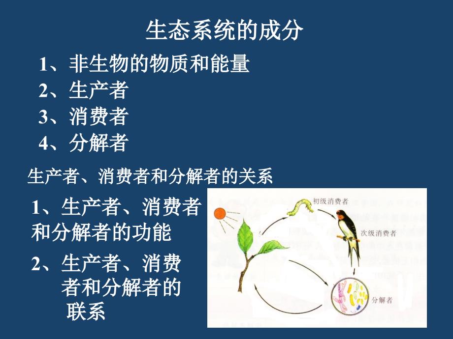 生态系统的成分PPT课件.ppt_第2页